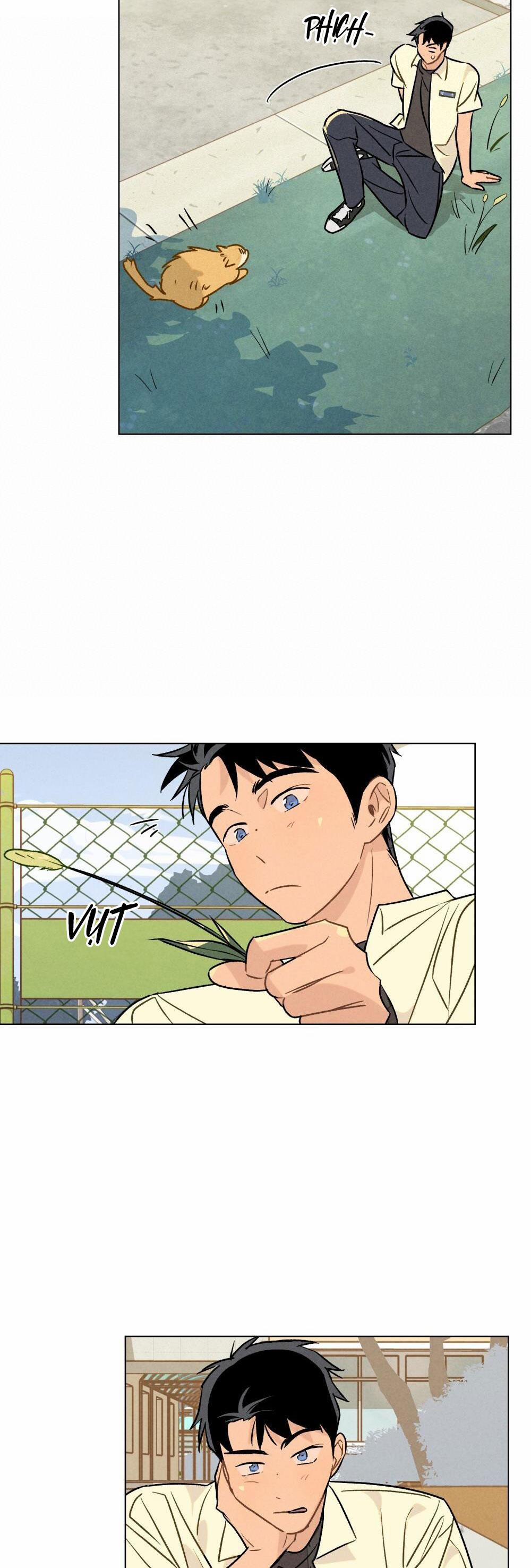 30 PHÚT TRƯỚC KHI TỎ TÌNH 13 trang 17