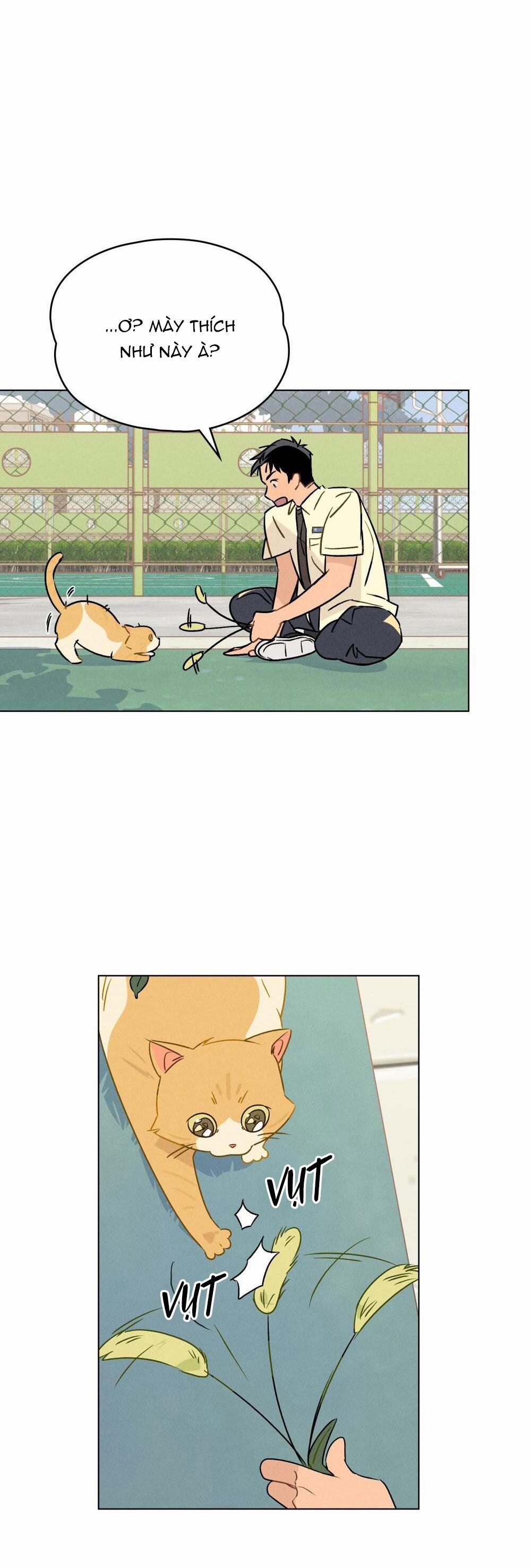 30 PHÚT TRƯỚC KHI TỎ TÌNH 13 trang 19