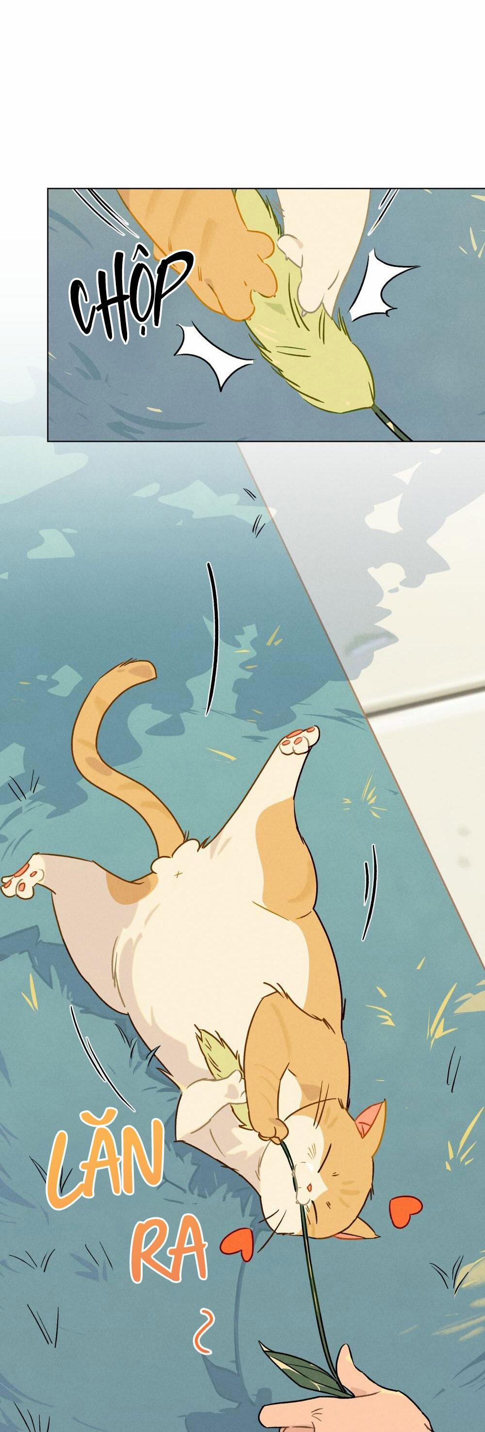 30 PHÚT TRƯỚC KHI TỎ TÌNH 13 trang 20