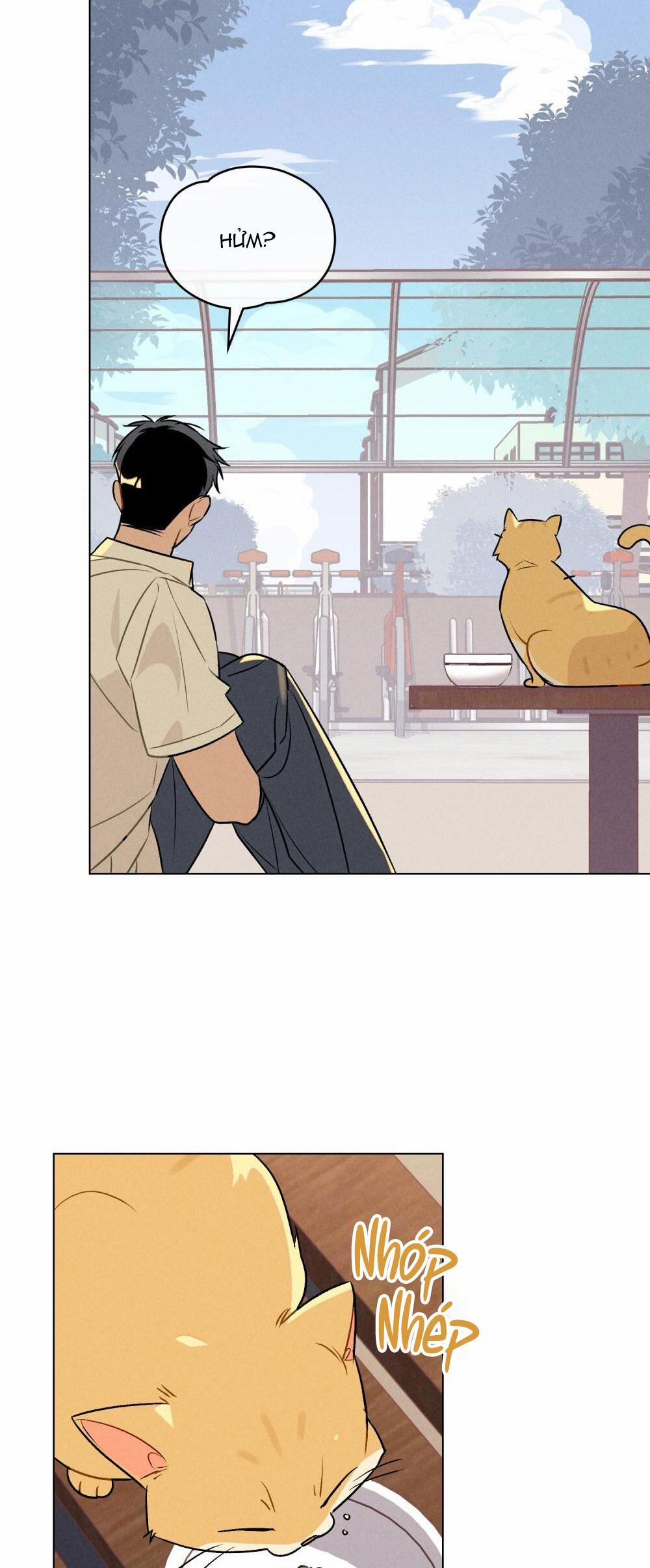 30 PHÚT TRƯỚC KHI TỎ TÌNH 20 trang 35