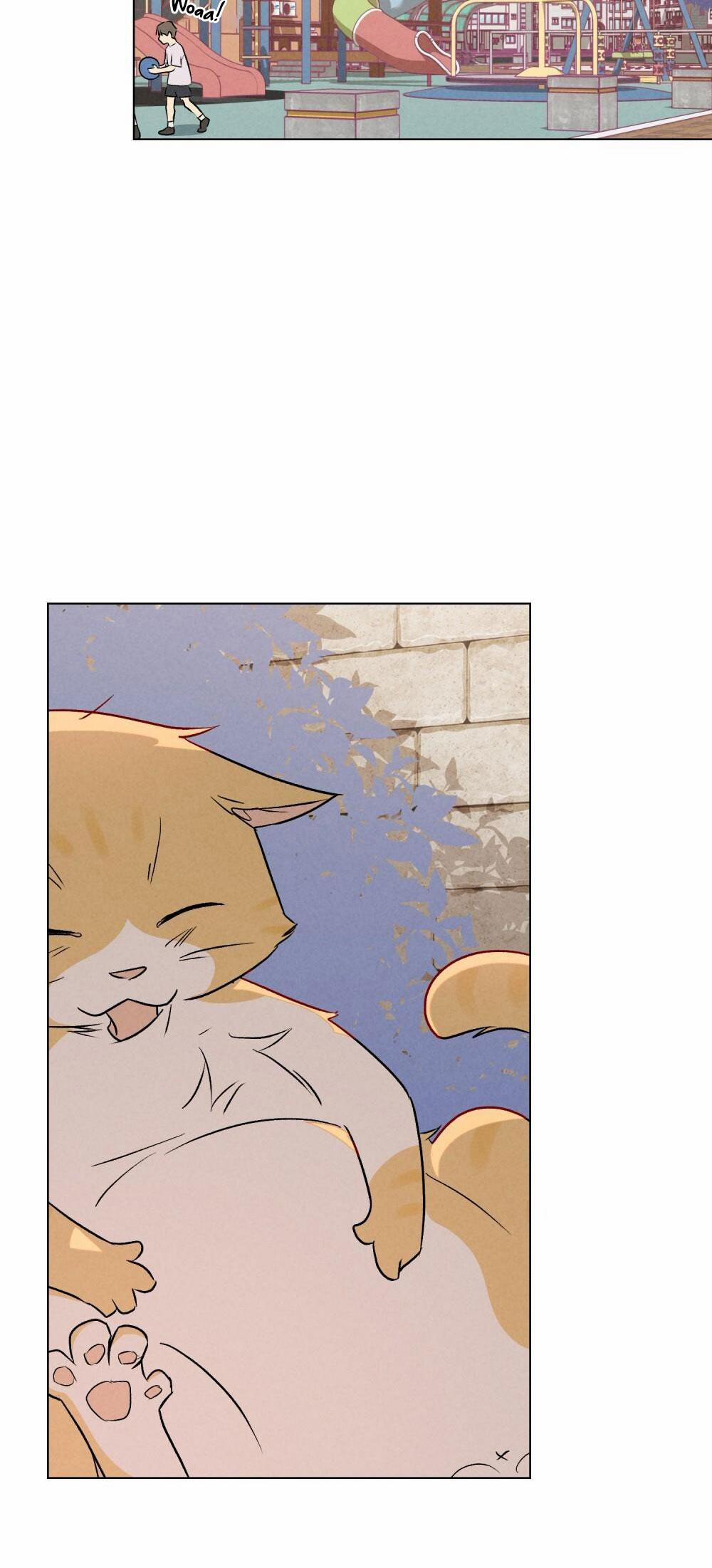 30 PHÚT TRƯỚC KHI TỎ TÌNH 22 trang 74