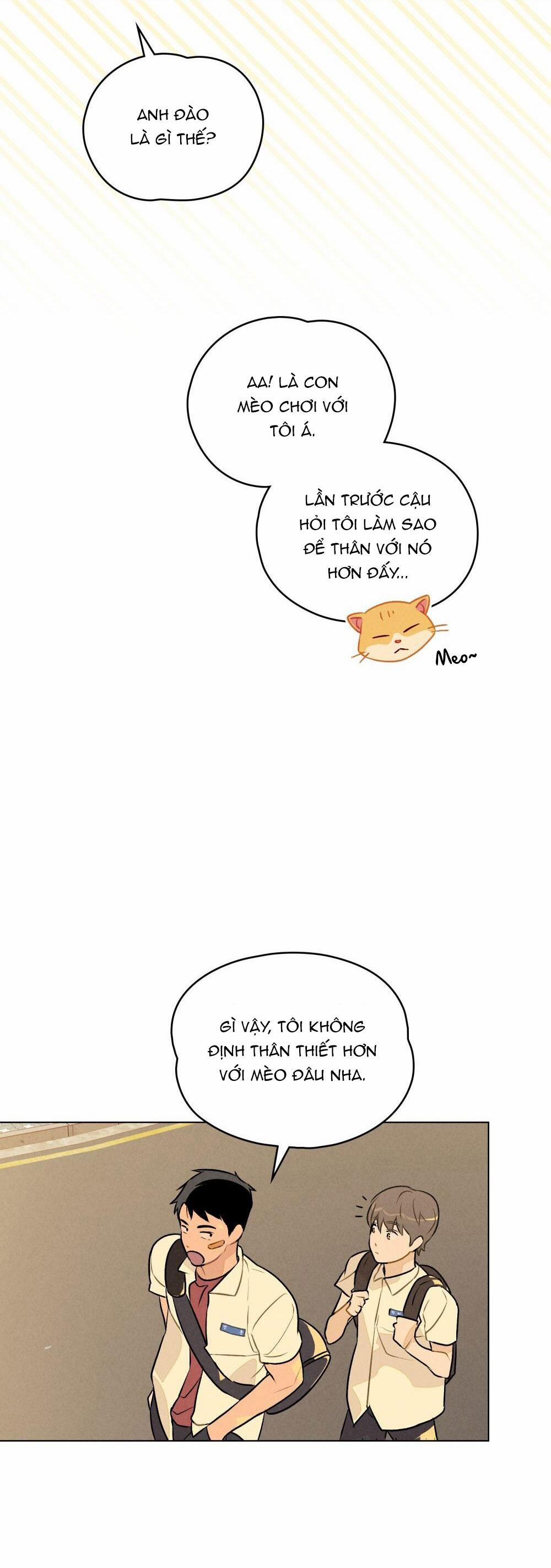 30 PHÚT TRƯỚC KHI TỎ TÌNH 6 trang 19