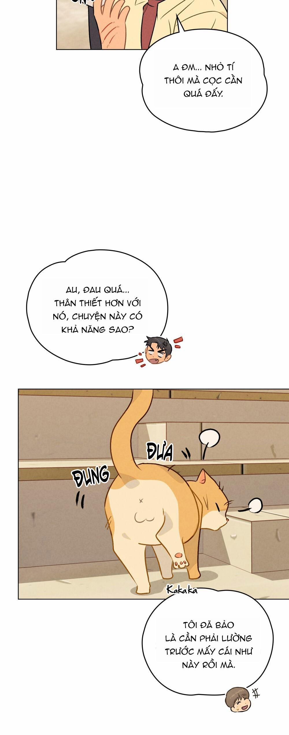 30 PHÚT TRƯỚC KHI TỎ TÌNH 7 trang 15