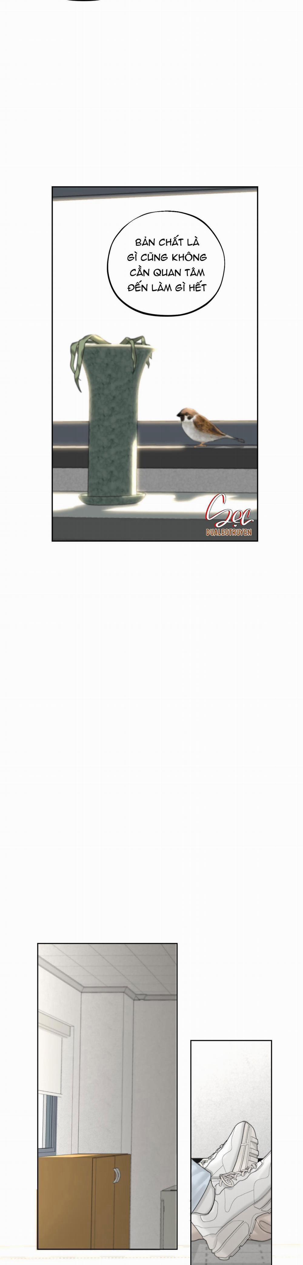 (3P) Sự Phụ Thuộc Giữa Củi Và Lửa 19 trang 11