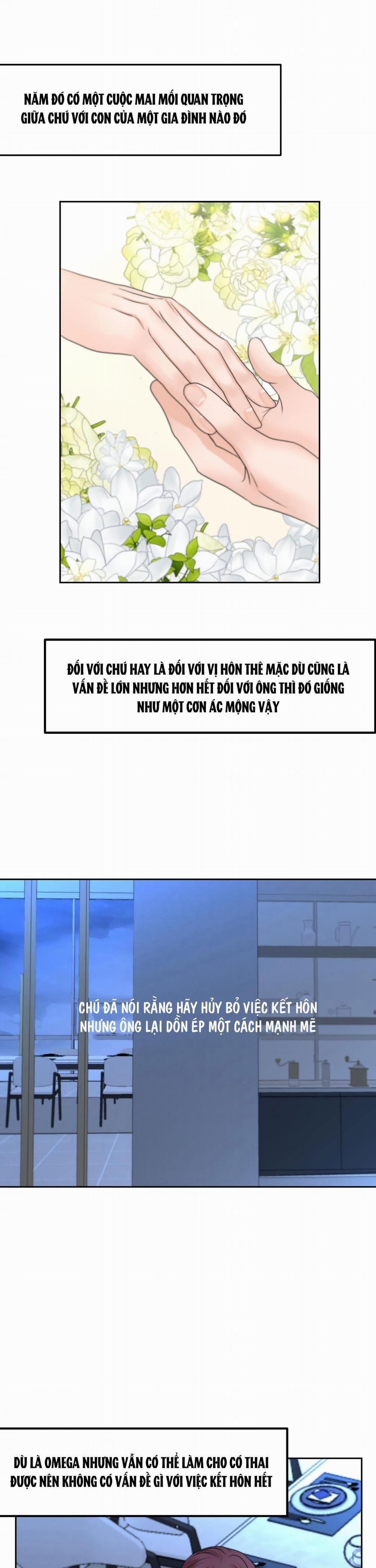 (3P) Sự Phụ Thuộc Giữa Củi Và Lửa 19 trang 15