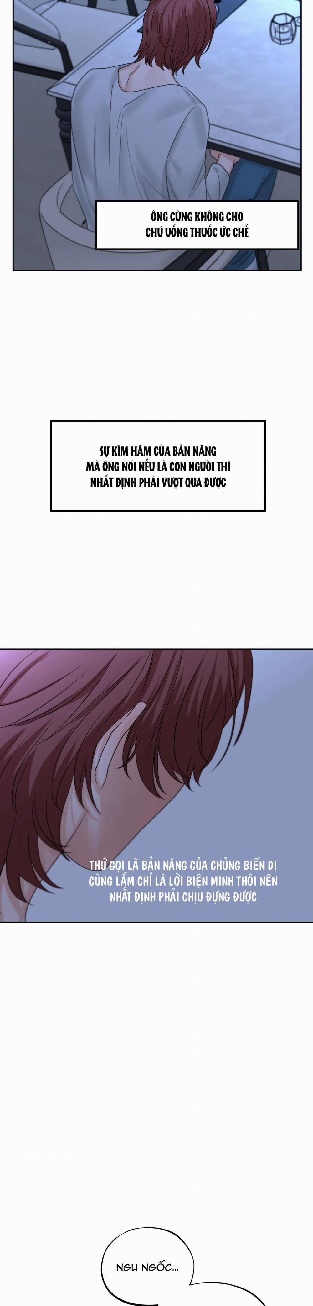 (3P) Sự Phụ Thuộc Giữa Củi Và Lửa 19 trang 16