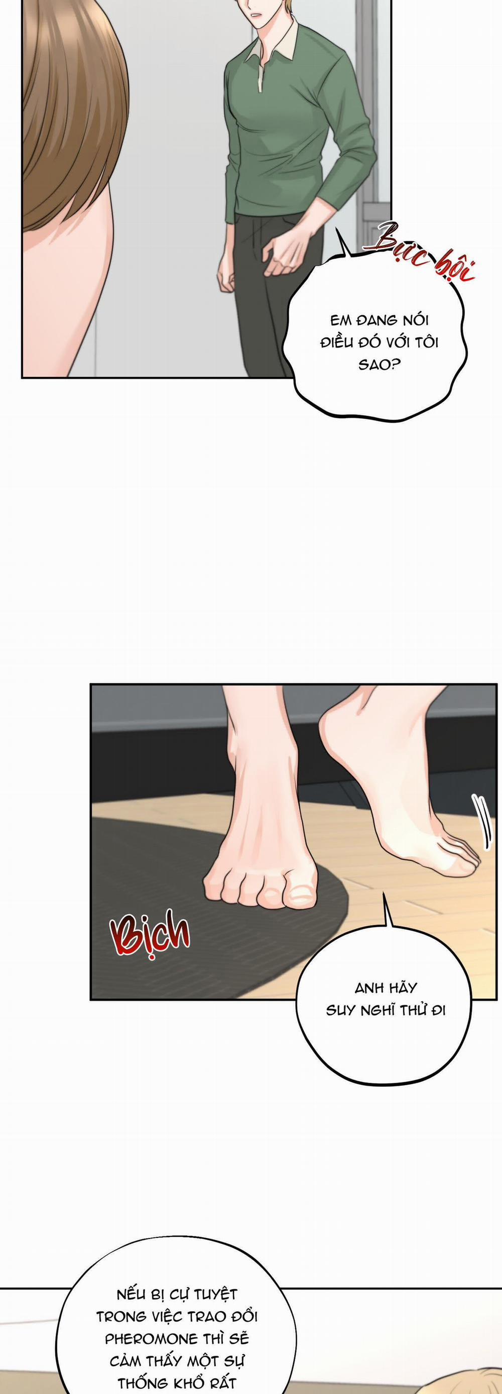 (3P) Sự Phụ Thuộc Giữa Củi Và Lửa 6 trang 39