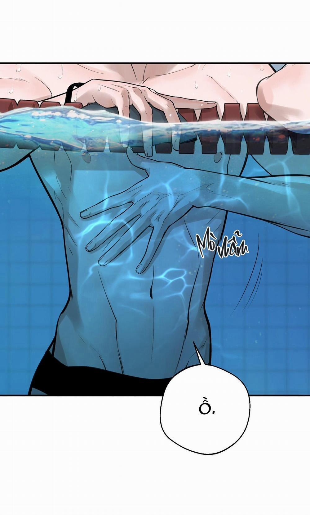 (Abo) Dash 19 trang 8