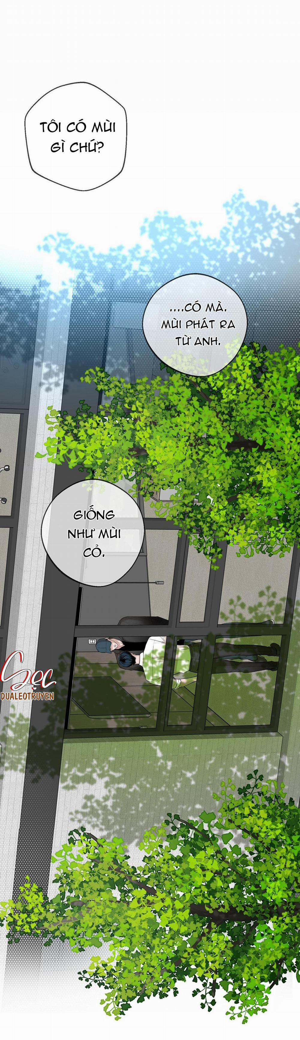 (Abo) Dash 8 trang 33