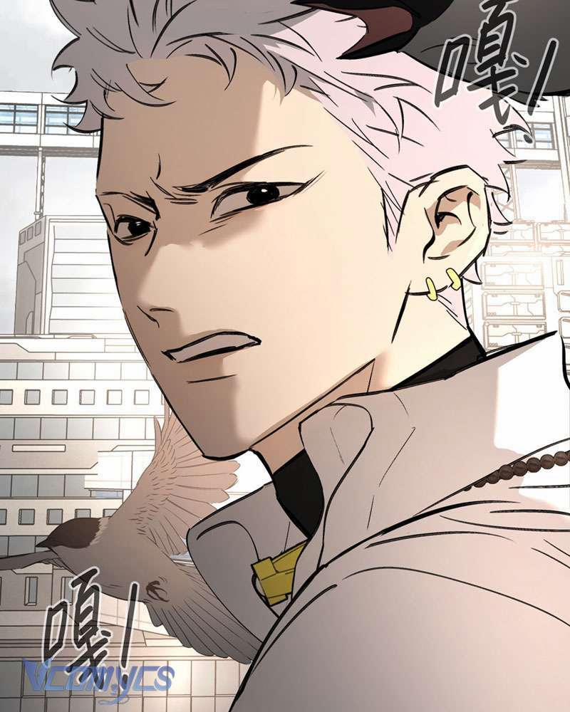 Ác Chi Hoàn 28 trang 11