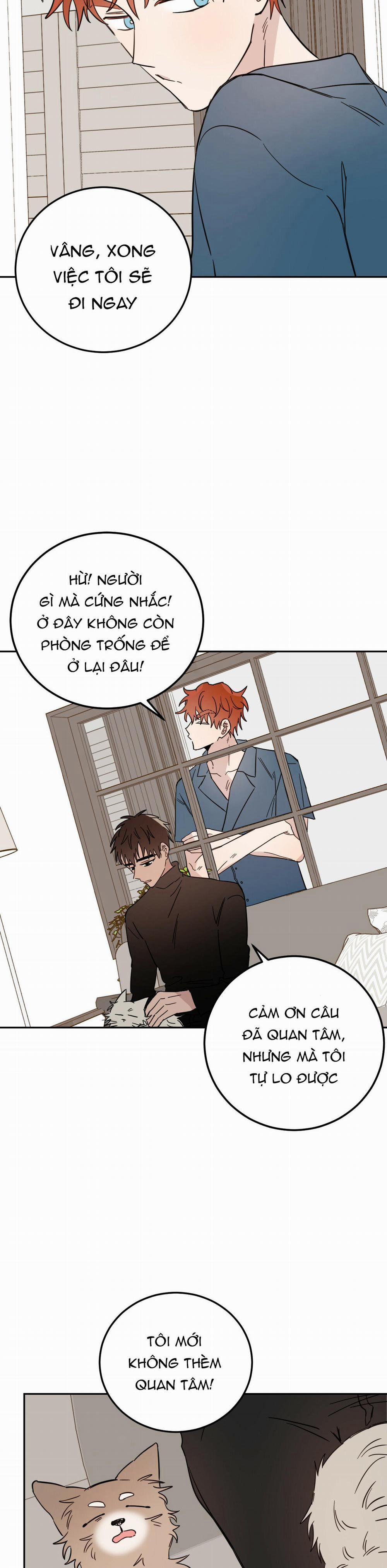 Ác ma giữa ngã tư 22 trang 14