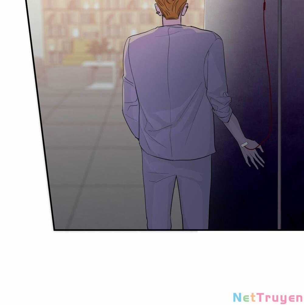 Ác Ma May Mắn 46 trang 11