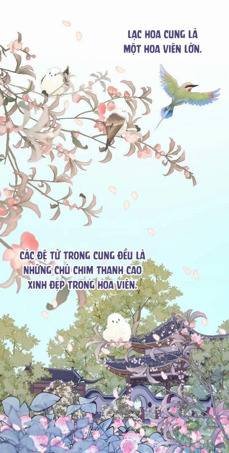 Ác Nữ Cự Tuyệt Cua Nam Chính 22 trang 1