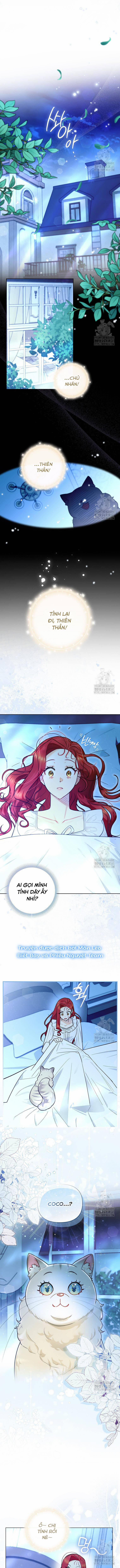 Ác Nữ Trở Thành Miêu Nô 14 trang 5