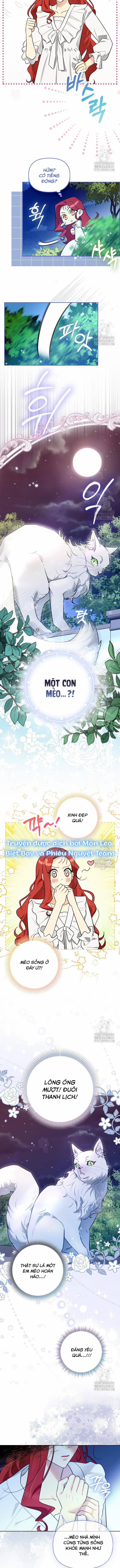 Ác Nữ Trở Thành Miêu Nô 7 trang 11