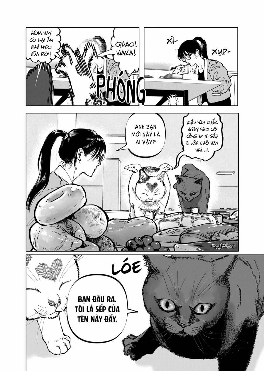 After God 37 trang 15