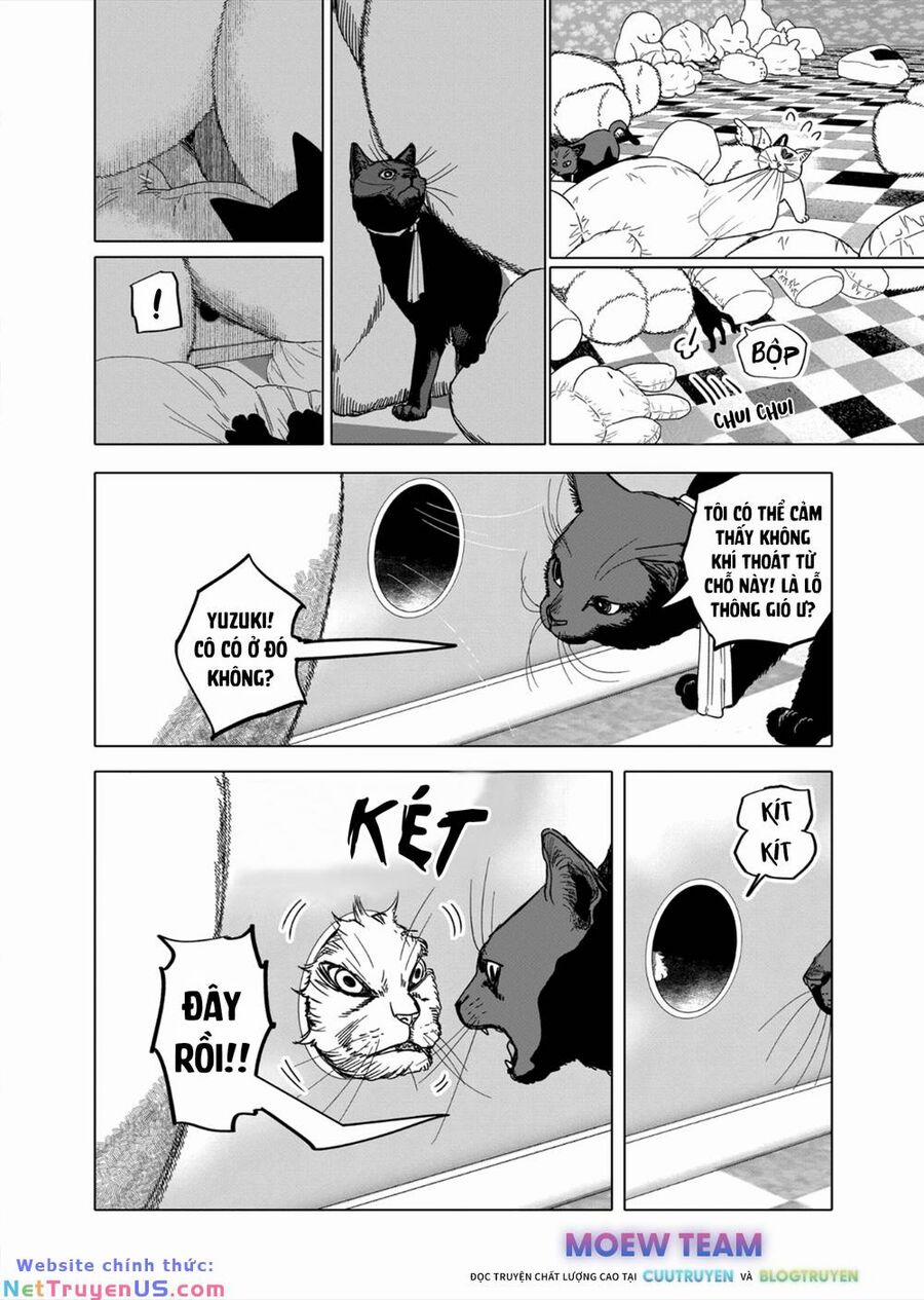 After God 46 trang 5