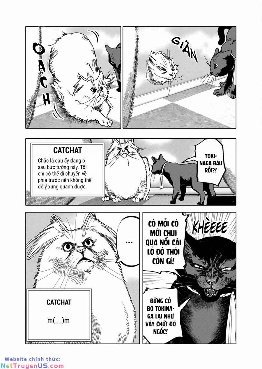 After God 46 trang 6