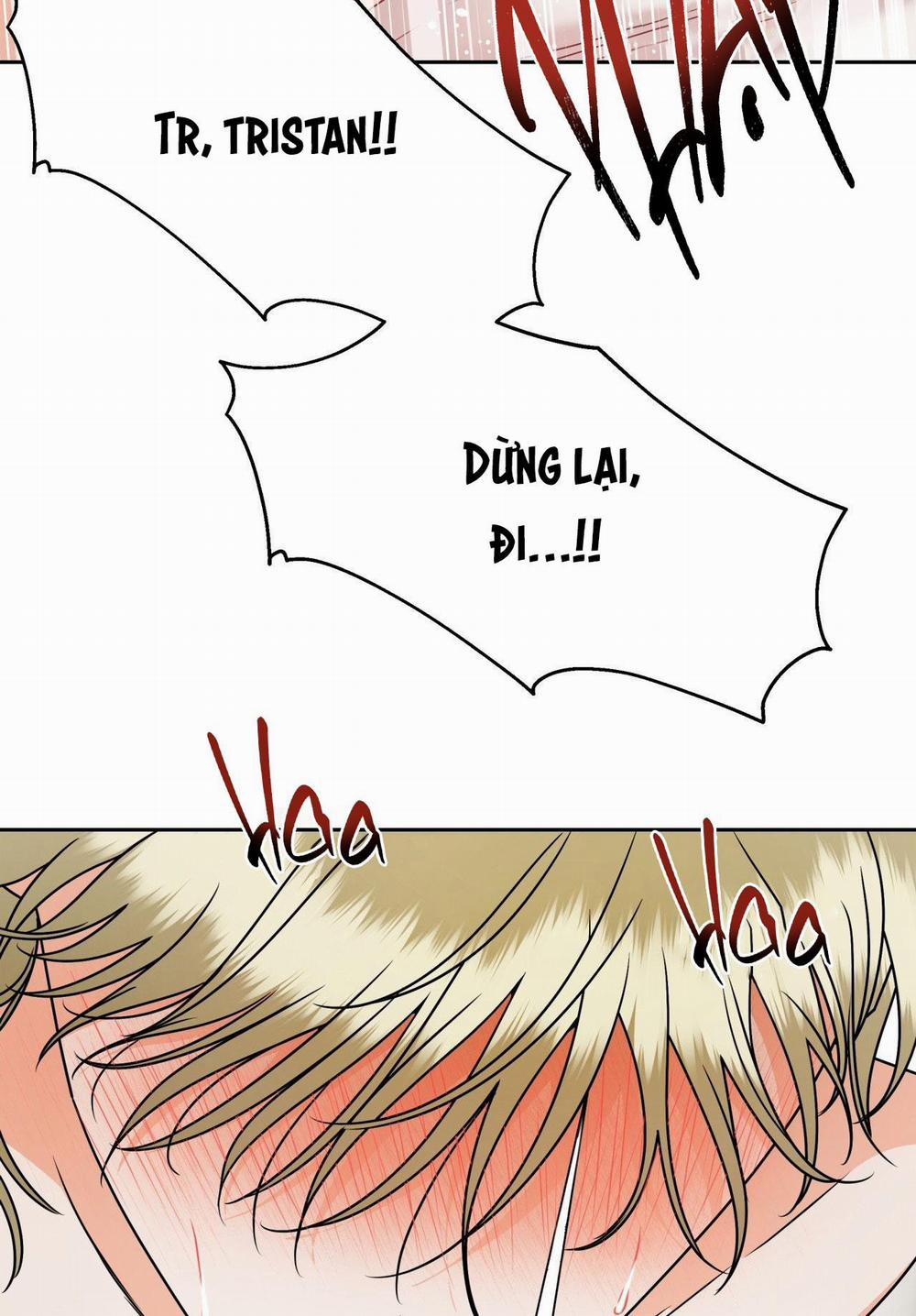 Agathos Report 1 trang 25