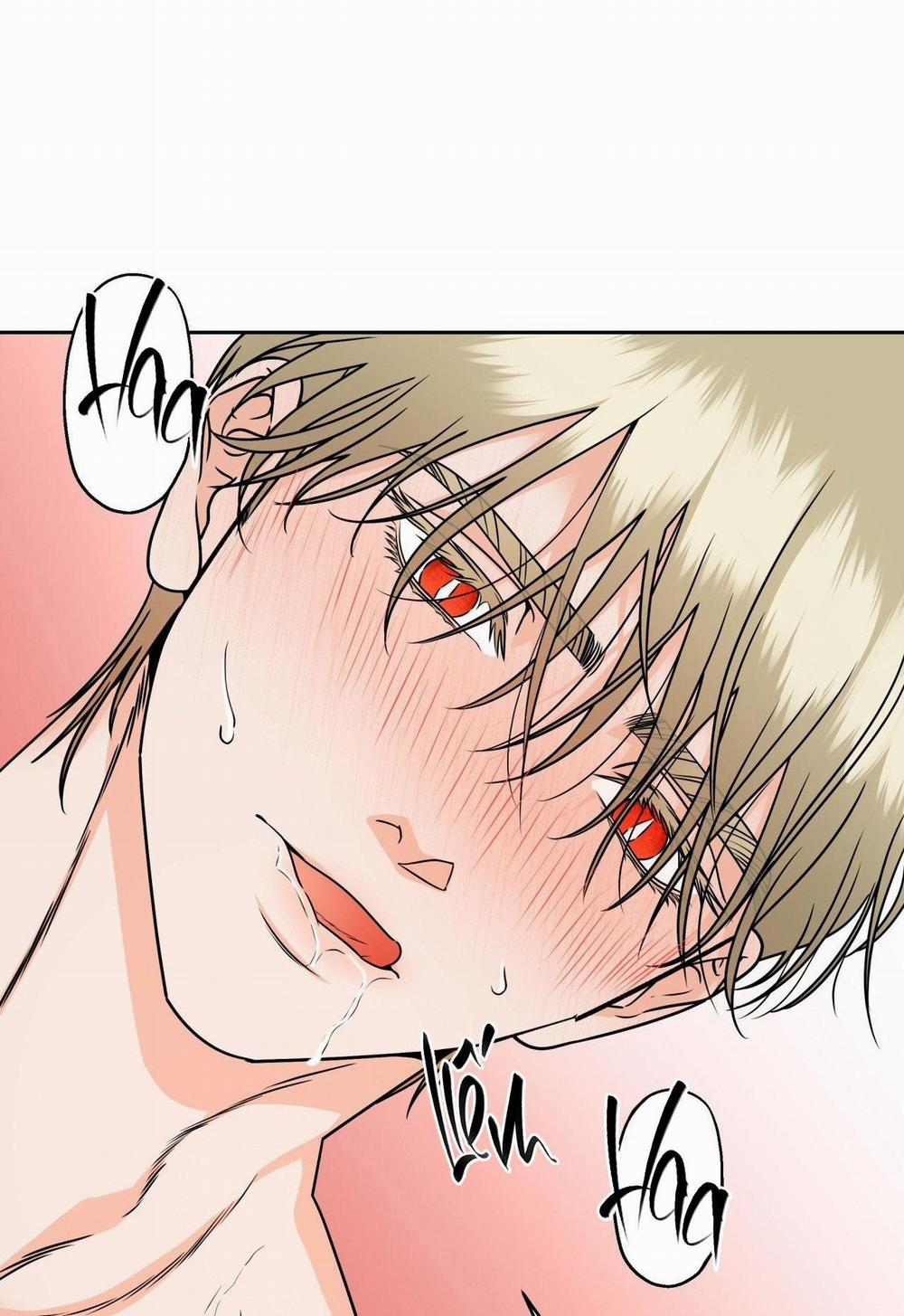 Agathos Report 1 trang 40