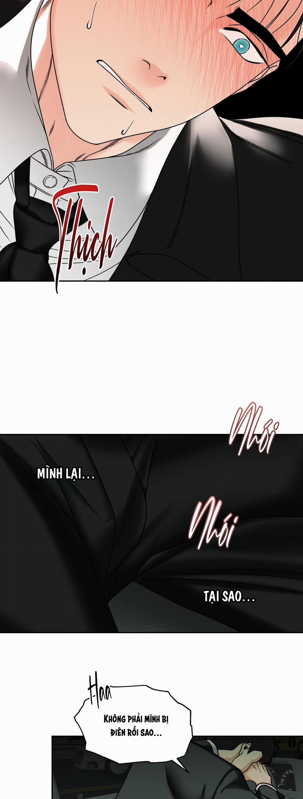 Agathos Report 2 trang 33