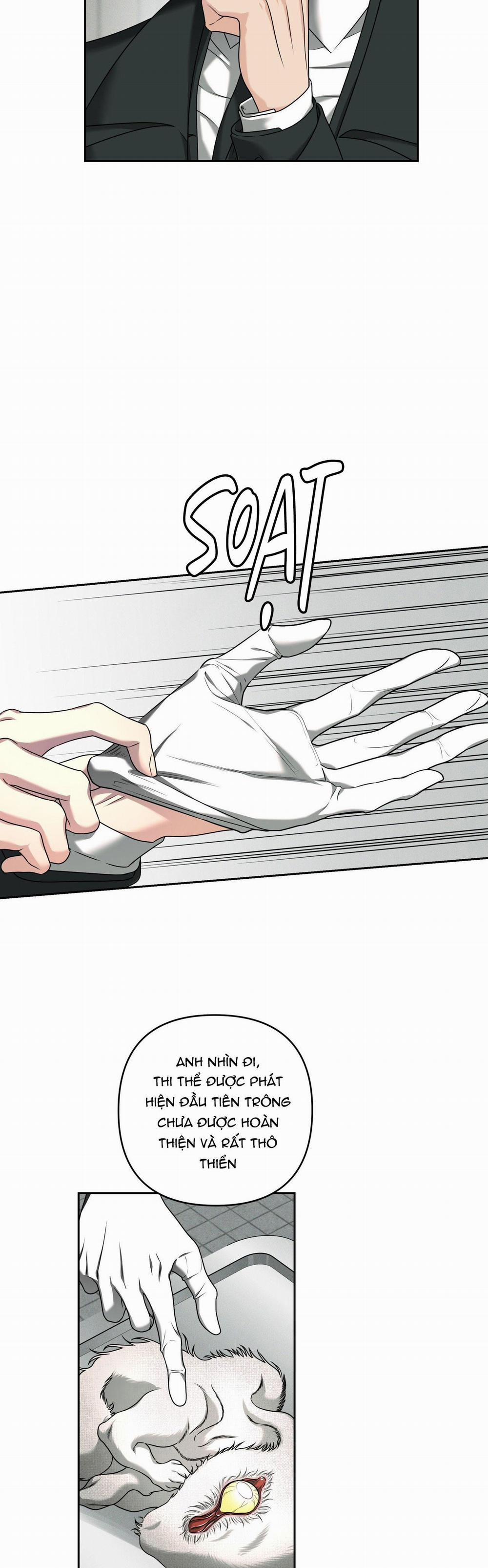 Agathos Report 3 trang 11