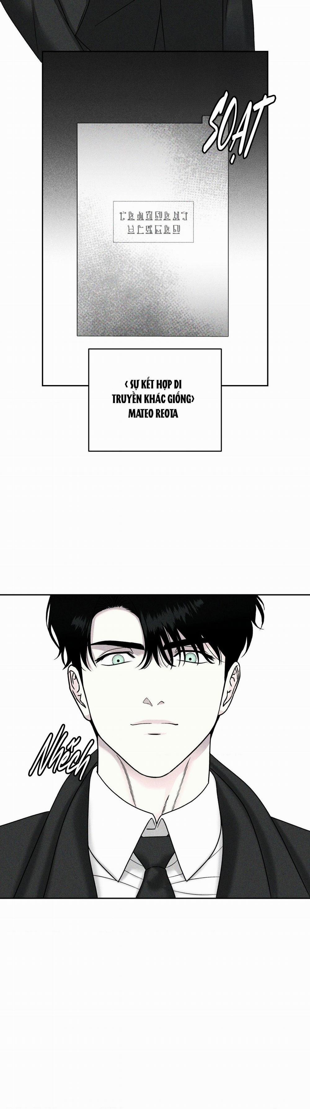 Agathos Report 3 trang 34