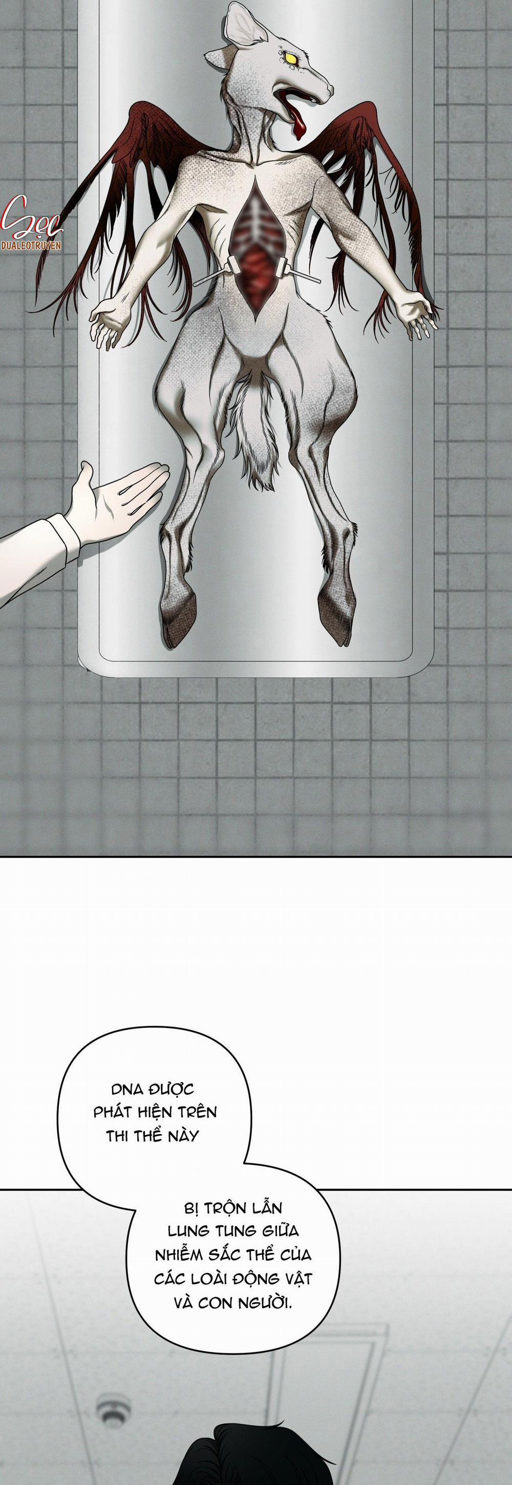 Agathos Report 3 trang 6