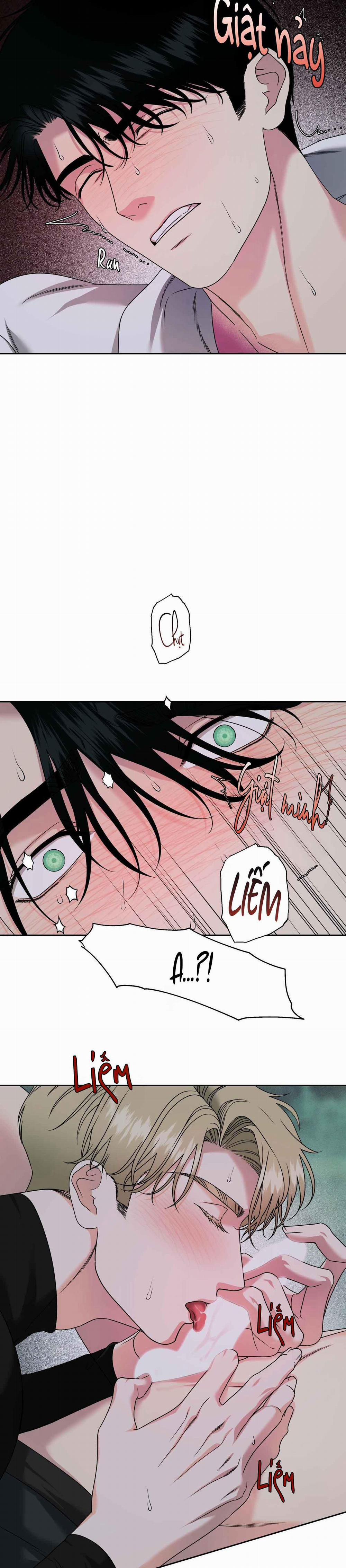 Agathos Report 5 trang 13