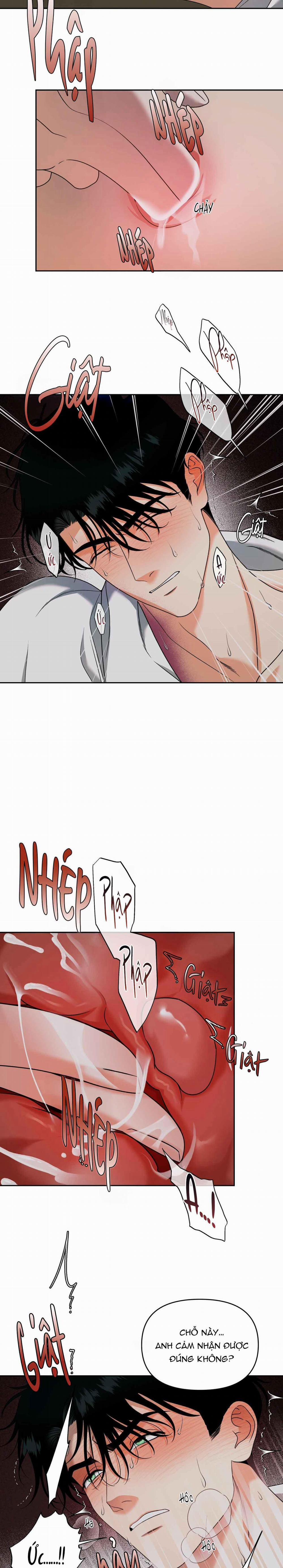 Agathos Report 5 trang 19