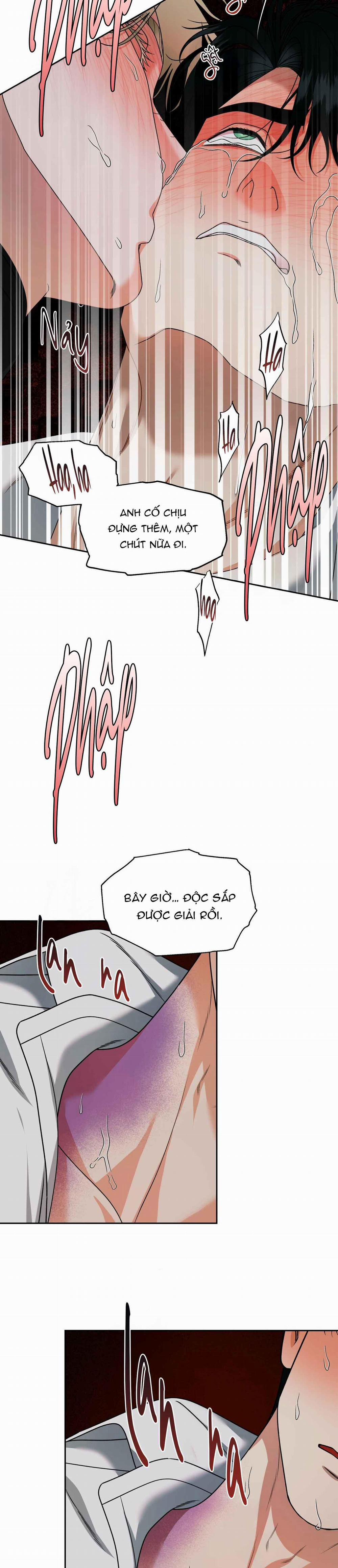 Agathos Report 5 trang 25