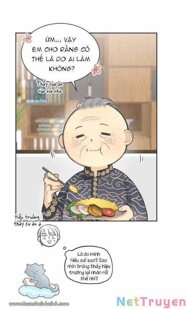 Ai Là Ngài Hiệu Trưởng 6 trang 13