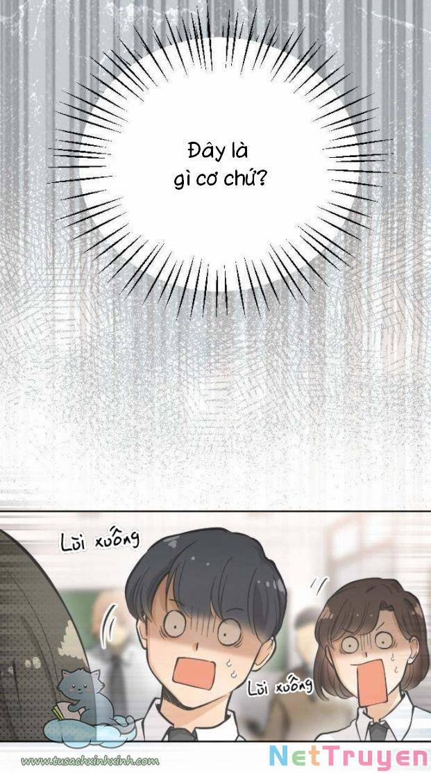 Ai Là Ngài Hiệu Trưởng 6 trang 3