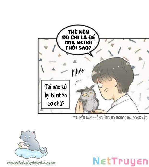 Ai Là Ngài Hiệu Trưởng 8 trang 62