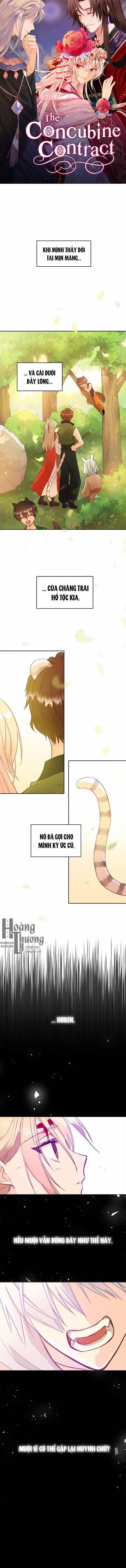 Ái Phi Khế Ước 29 trang 0