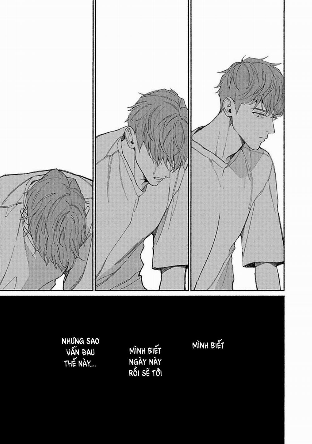 Ai, See You 6 trang 14