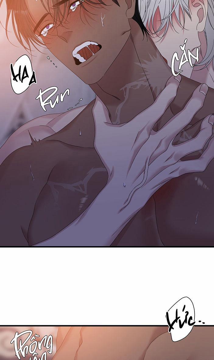 ÁI TÌNH TỰ TÂM 51 trang 68