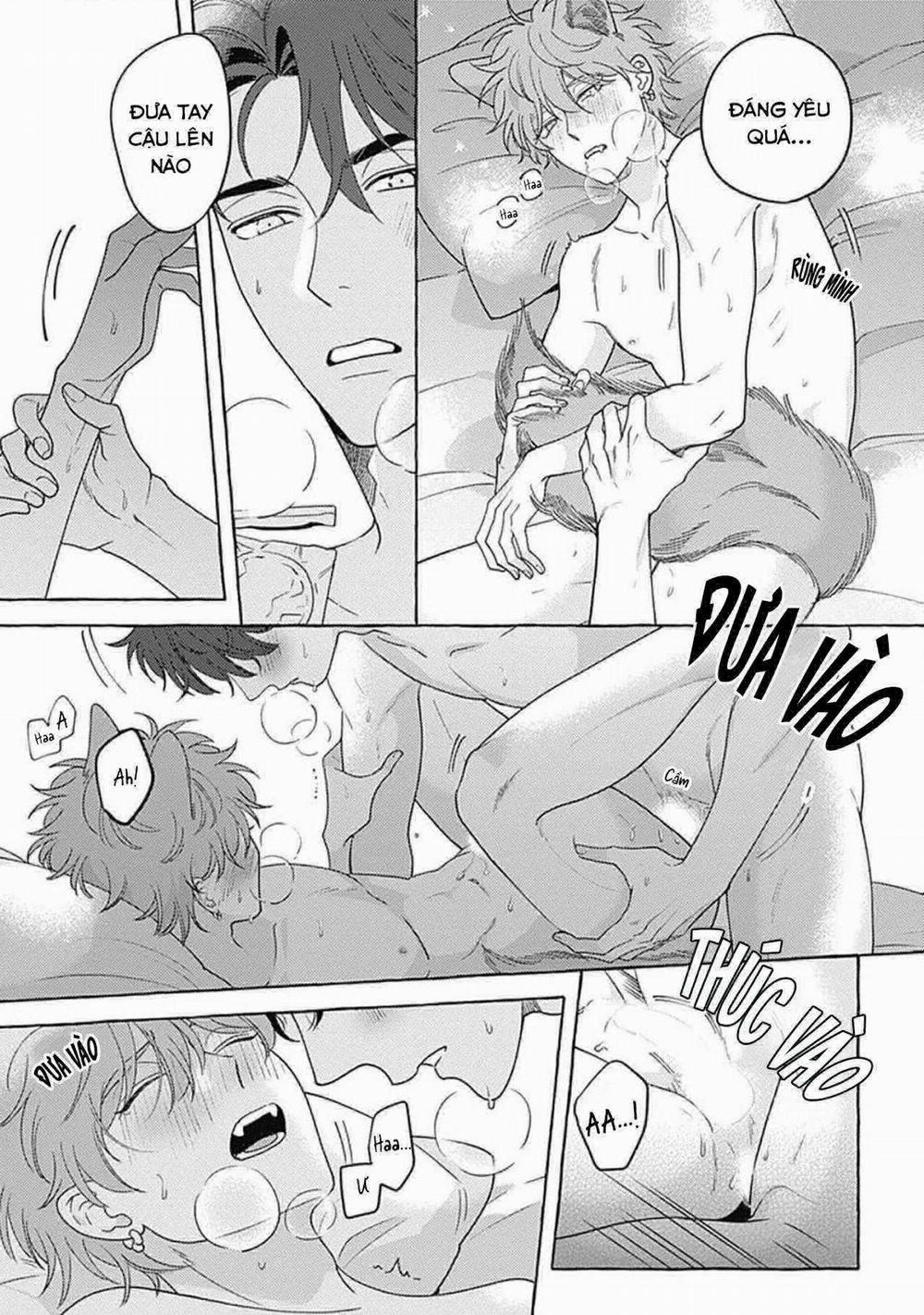 Aimai na Wolf 5.5 trang 9