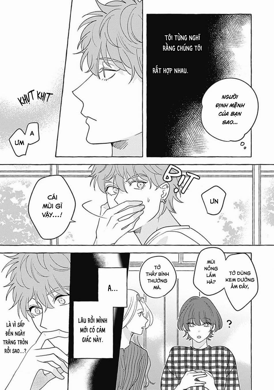 Aimai na Wolf 5 trang 19