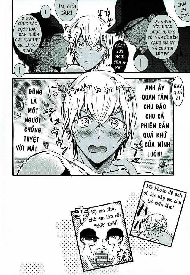 Akai X Amuro - Detective Conan Doujinshi 11 trang 24