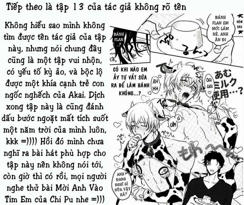 Akai X Amuro - Detective Conan Doujinshi 13 trang 30