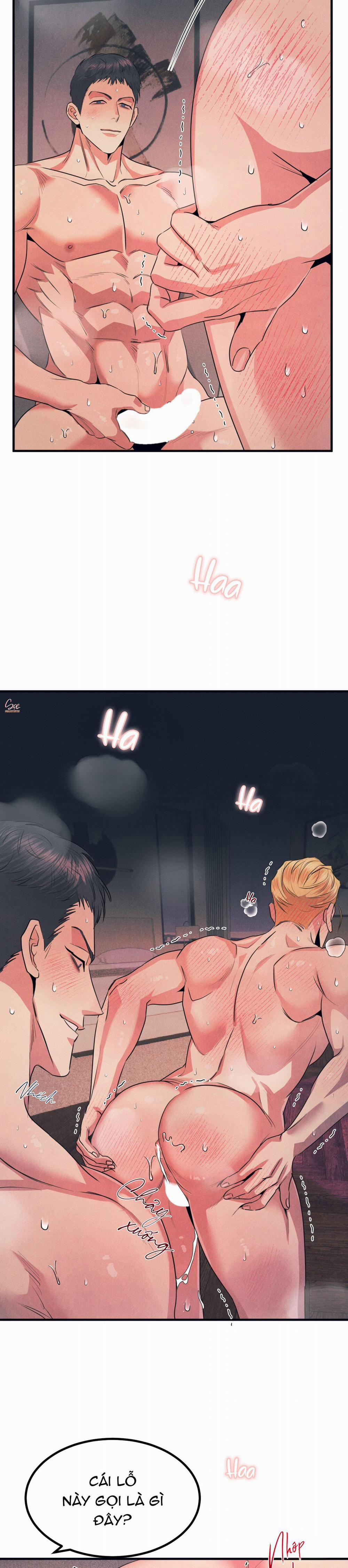 ALPHA MẤT TƯ CÁCH 10 trang 16