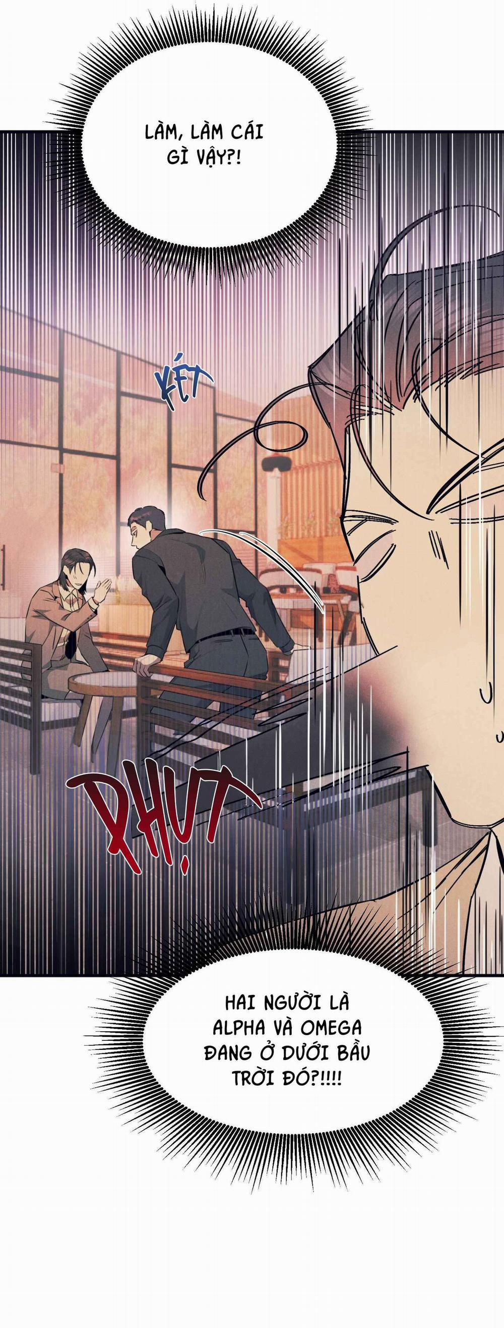 ALPHA MẤT TƯ CÁCH 8 trang 13