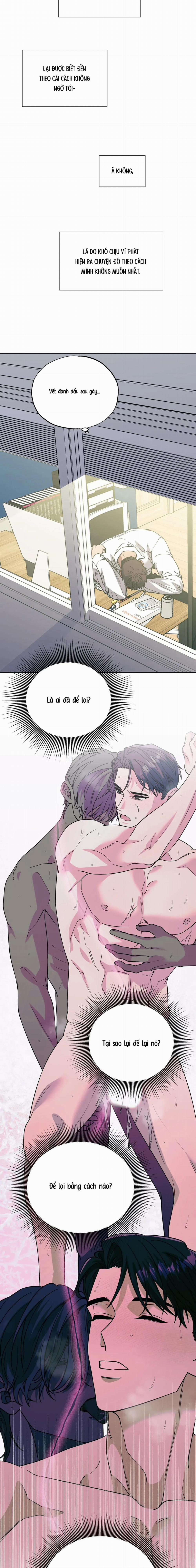 Ám Ảnh Pheromone 81 trang 4