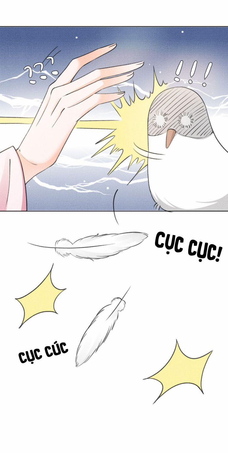 Ám Độ Trần Thương 11 trang 14