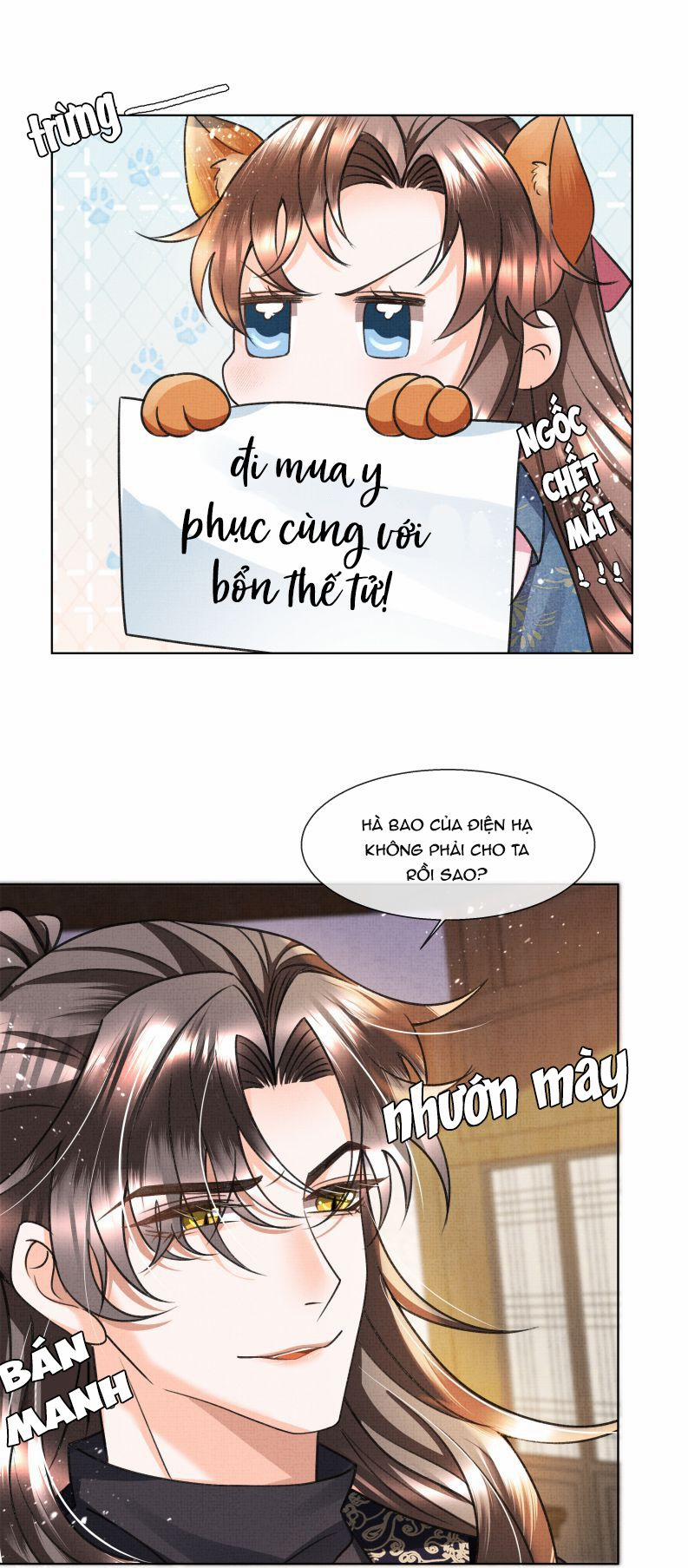 Ám Độ Trần Thương 13 trang 11