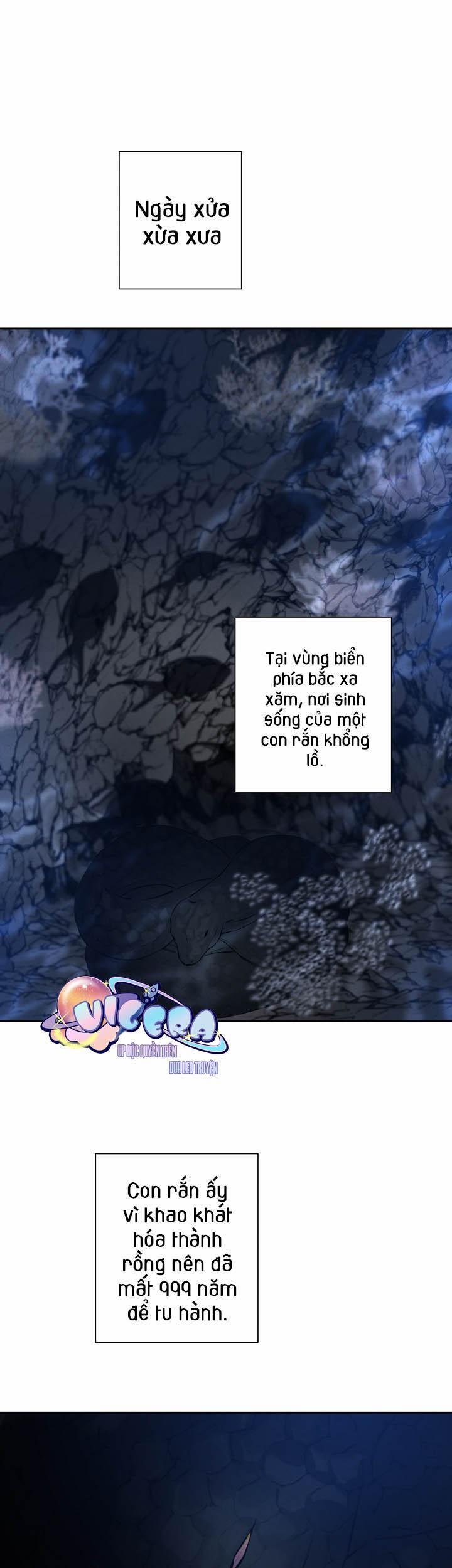 Âm Thanh Của San Hô 20 trang 0