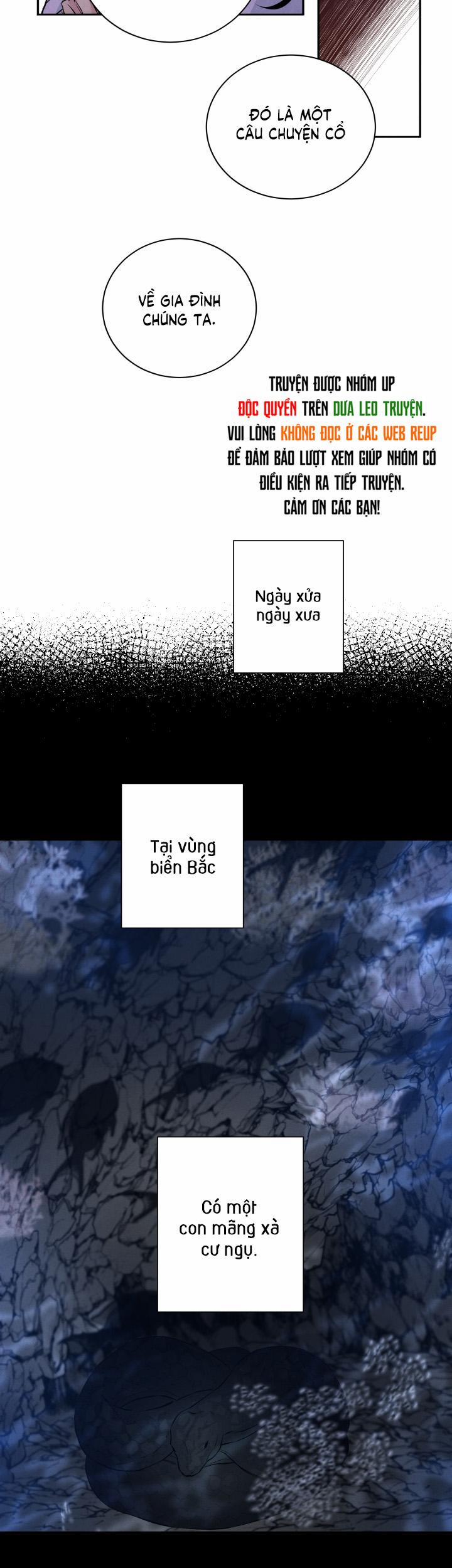 Âm Thanh Của San Hô 29 trang 14