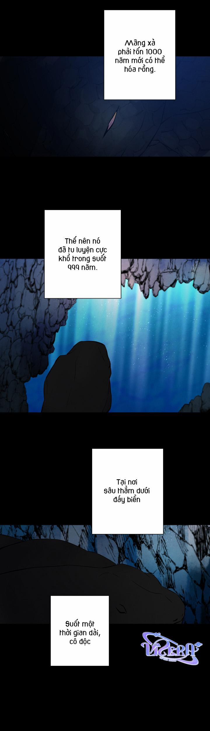 Âm Thanh Của San Hô 29 trang 15