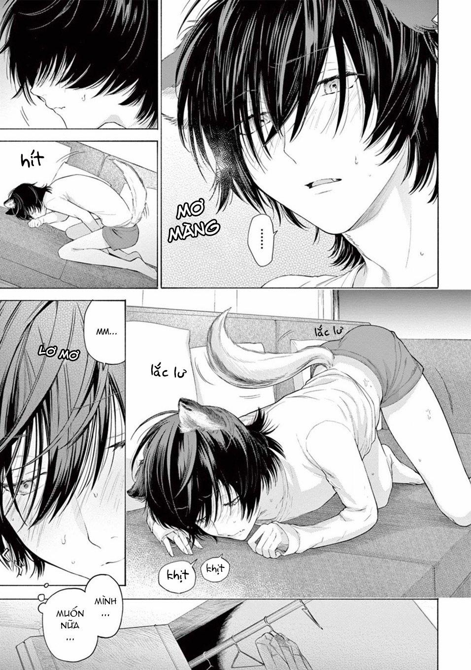 Amagami 3.2 trang 1